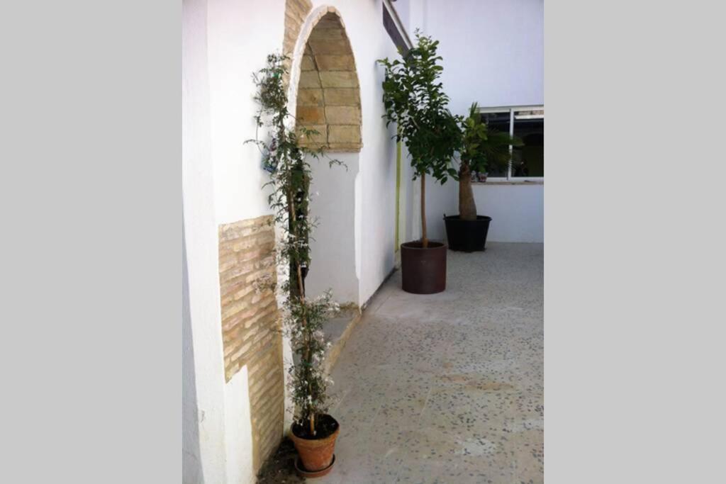 Casa Florinda #7 Lejlighed Jerez de la Frontera Eksteriør billede